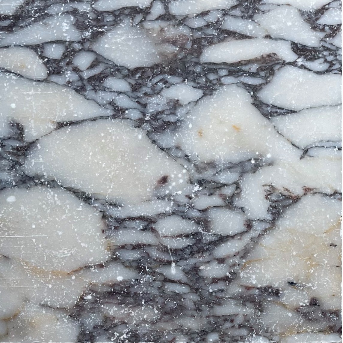 Calacatta Viola Tumbled Square 305x305